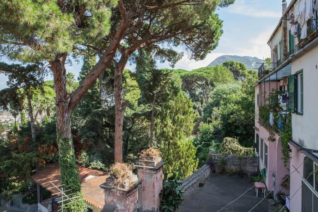 דירות קסטלמרה די סטביה Casa Panoramica מראה חיצוני תמונה